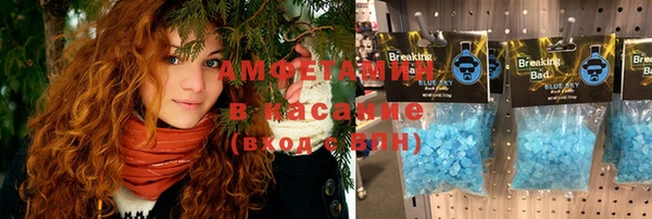 прущие грибы Аркадак