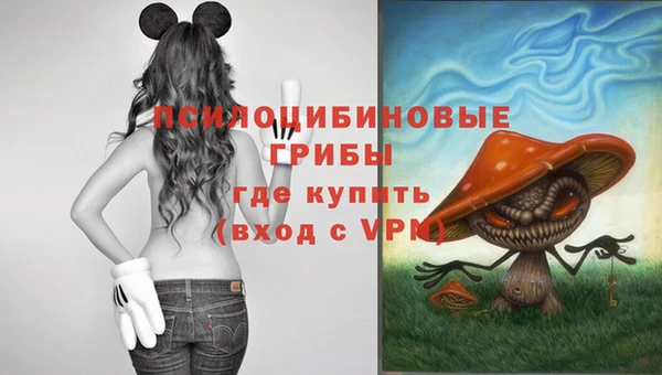 хмурый Бронницы